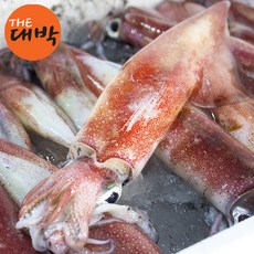 국내산 한치 통찜 숙회, 3개, 500g (5-8미 내외)