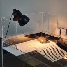 터틀홈 초대형 프리미엄 아크릴 거북이 육지, 광폭 (45cm), 20cm, 1개, 100g