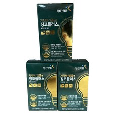 은행잎추출물 혈행개선 영양제 기억력 혈행엔 징코플러스 중장년 혈행, 3개