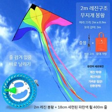 초대형 연 날리기 세트 가오리연 나비 제트기 한강, 2미터 봉황(레진구조)+휠(400m)