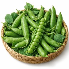 [선별품] 국내산 햇 완두콩 생 껍질완두콩 디아머스, 1개, 1kg