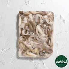 절단쭈꾸미 1.8kg 베트남 손질 세척 냉동 주꾸미 업소용, 1개, 절단쭈꾸미L x 900g