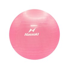 낫소 짐볼 65cm 핑크 에어펌프 공기마개