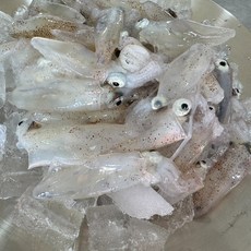 생물 호래기 제철 꼴뚜기 회 국내산 남해안 500g, 1개, 급냉)호래기 500g