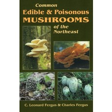 (영문도서)Common Edible & Poisonous Mushrooms of the Northeast Paperback, Stackpole Books, English, 9780811726412