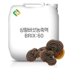 상황버섯농축액 60Brix 200g 샘플, 1개
