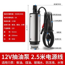 12V/24V電動抽油泵 柴油煤油通用 小型抽油神器加油槍, 1個, 12V油泵-2.5米電源線