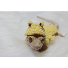 뜨개코할미 크레스티드게코 크레옷 크레스티드게코개구리후드옷 개구리뜨개후드옷 개구리뜨개옷 도마뱀옷 도마뱀뜨개옷 도마뱀소품, 연두, 1개