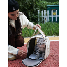 샤인월드 반려동물 이동장 주머니 오프화이트, 1개