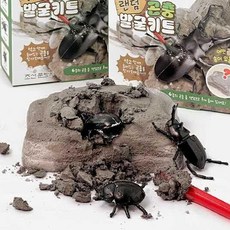 스토어-지유 곤충 화석 발굴 체험 키트 (랜덤발송) 화석발굴놀이