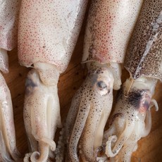 수입산 한치 급냉 한치 한치 총알한치, 1박스, 500g 7~13미