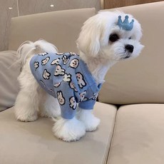 寵物針織毛衣 兔子圖案 小型犬貓秋冬裝, 兔子毛衣, 1個