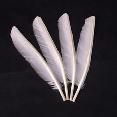 大白毽配件 毽子零件 羽毛 中速/快速/慢速, 1個, 快速毽用羽毛長17釐米,20根, N/A
