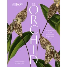 (영문도서)The Orchid: A Celebration of the World's Most Charismatic Flower Hardcover, Welbeck, English, 9781035427727
