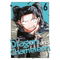 (英文圖書)Dragon and Chameleon 06 平裝版, Square Enix Manga, 英文