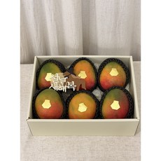 망고선물세트 수원 안산 광교 동탄 화성 의왕 기업단체 첫인사 승진 출산 상견례 승진 설 추석 명절 퀵 택배 과일바구니, 1세트