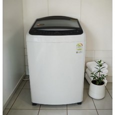 LG전자 통돌이 세탁기 T17MX3A 17kg 방문설치, T17WX3, 웜화이트