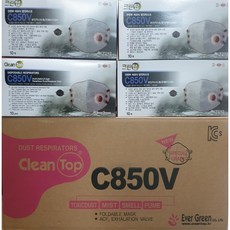 c850v [ 10개입 ] 방진마스크 에버그린 크린탑 마스크