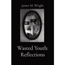 (영문도서) Wasted Youth Paperback, Metamorphic Press, English, 9798218394028
