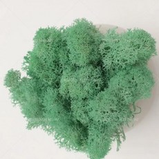 인공 녹색 식물 영원한 생명 DIY 잔디 홈 룸 미니 가짜 50g, 4)10g, light green