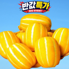 [500박스한정] 성주직송 고당도 꿀 성주참외, 1개, 10kg
