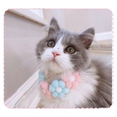 심아트 애견 케이프 스카프 파스텔 플라워 고양이 넥카라 미디움, 1개, 플라워케이프 하흰