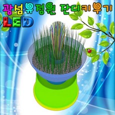 LED 광섬유정원 잔디꾸미기-5인용-ZSA