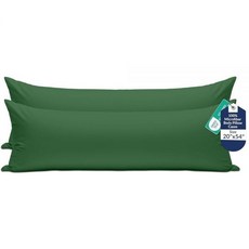 Royale Linens 베개 커버 2팩 유로 사이즈 66x66cm(26x26인치) - 브러시드 1800 극세사 침대 샴 주름 및 변색 방지 매우 부드럽고 아늑함 봉투 클로저, 헌터 그린