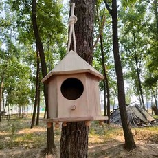 야외 새장 원목 놀이터 등산 스탠딩 액세서리 새피더, 작은 새 집 입구 5.5, 1개