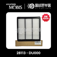 [현대모비스순정] 에어클리너 28113 - DU000, 1개, 28113-DU000