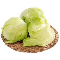 전라도청년프레시 국내산 신선 양상추 샐러드 채소, 3개, 600g