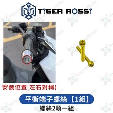 TIGER ROSSI 鈦合金螺絲 金色 適用於 RCS MOTO 150, 1個, 5_平衡端子螺絲【1組】