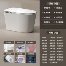 設計師款 智能馬桶 110V 無水壓限制 自動殺菌 蛋型座便器 虹吸式 泡沫盾防濺 免治馬桶, 828頂配版
