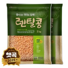 현대농산 레드 렌틸콩 렌즈콩 2kg, 2개