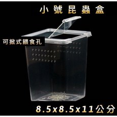昆蟲飼養盒 飼養箱 寵物盒 樹棲盒 爬蟲箱 鼠婦盒 蜘蛛盒 守宮盒 蠍子 蛇, 1個