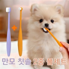 피스펫 강이지 칫솔 고양이 칫솔 초미세모 만모 2종, 1세트, 혼합색상