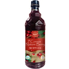 joeunyakcho 七山茱萸漿, 900ml, 1個