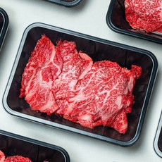 선물하누 1++등급 한우 투뿔 불고기 200g, 1개