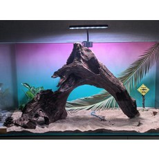 沉木拱橋 適合大中型魚缸 入水秒沉, 1個