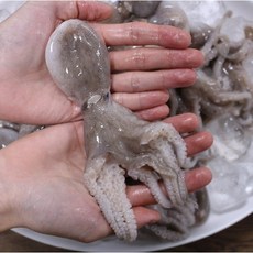 mk 봄 제철 산지직송 당일조업 국내산 서해 활 쭈꾸미, 1개, 1kg