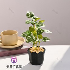 仿真綠植小盆栽 仿真綠蘿 芋葉 爬山虎 仿真植物盆景 辦公室綠植 假綠植 客廳書房假綠植擺件辦公桌面裝飾品, 4643   仿真綠植小盆栽（塑料花盆）, 1個