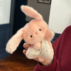 安撫豆袋顆粒治癒可愛小羊、狐狸、兔子、毛絨小熊玩偶，女生生日禮物, 1個, 豆袋粉兔