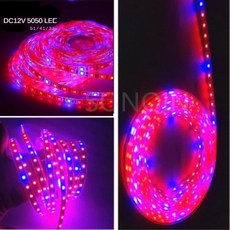 12V Led 식물 성장 빛 스펙트럼 Phyto 램프 1m 2m 5M 스트립 꽃 온실 텐트 수경 식물 조명, 5red 1blue, Not Waterproof