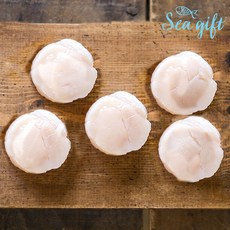 [씨기프트]가리비관자 500g 냉동 조개 구이 개아지살 통관자 버터구이 호타테가이, 1개