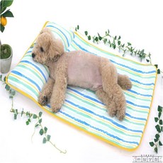 라담상점 패리스독 여름낮잠베드 개방석