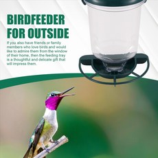 강한 흡입 컵이있는 창 새 피더 탈착식 야생 새 피더 시계 집에서 야생 뒷마당 새를 시계, 녹색