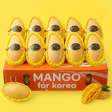 [항공직송] 프리미엄 고당도 태국 남독마이 골드망고, 1개, 5kg