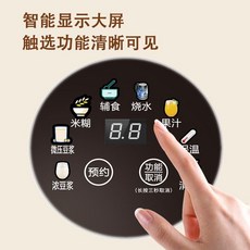 OKAOECl 110V 美規 304不鏽鋼內膽豆漿機 - 美國加拿大適用, 304不鏽鋼內膽110V美規用壞,1.35升1至2人用+20葉備用刀