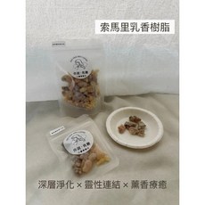110V電子香薰爐 陶瓷木座電子控溫香爐 多功能定時靜心儀式香薰爐, 1個, 【加購】20g 索馬里乳香樹脂