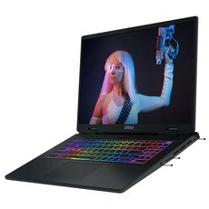 MSI 2024 크로스헤어 17 HX 코어i9 인텔 14세대 지포스 RTX 4070, 코스모스 그레이, 1TB, 32GB, WIN11 Home, D14VGKG-i9 QHD